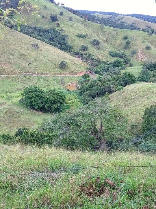 Sítio, 2 quartos, 48 hectares - Foto 1