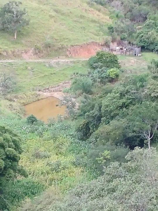 Sítio, 2 quartos, 48 hectares - Foto 3