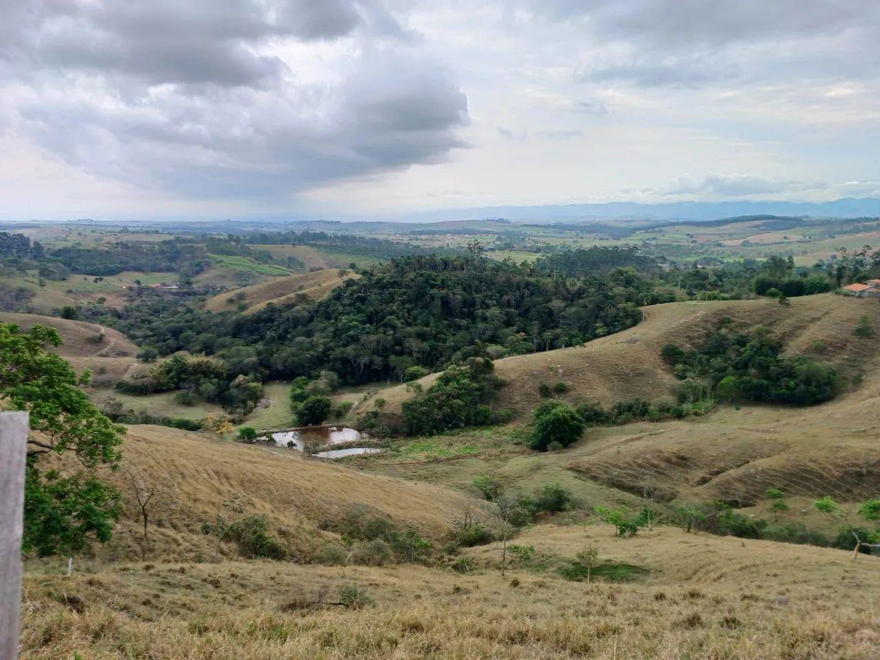 Sítio, 2 quartos, 48 hectares - Foto 4