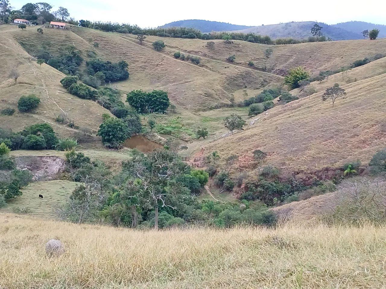 Sítio, 2 quartos, 48 hectares - Foto 6