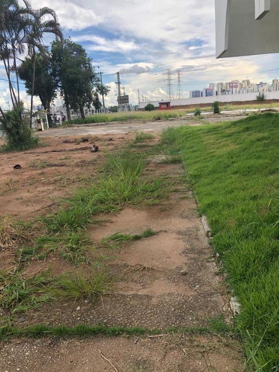 Depósito-Galpão - Foto 8