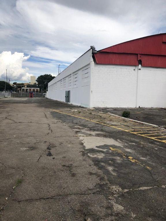 Depósito-Galpão - Foto 10