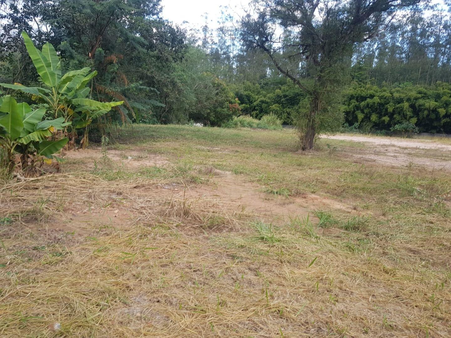 Terreno, 8000 m² - Foto 3