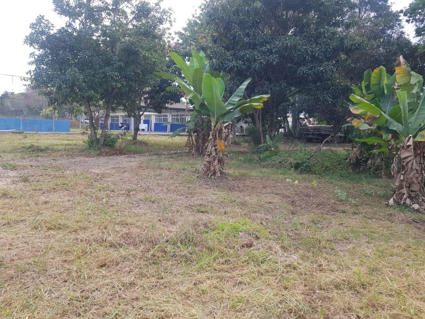 Terreno, 8000 m² - Foto 6