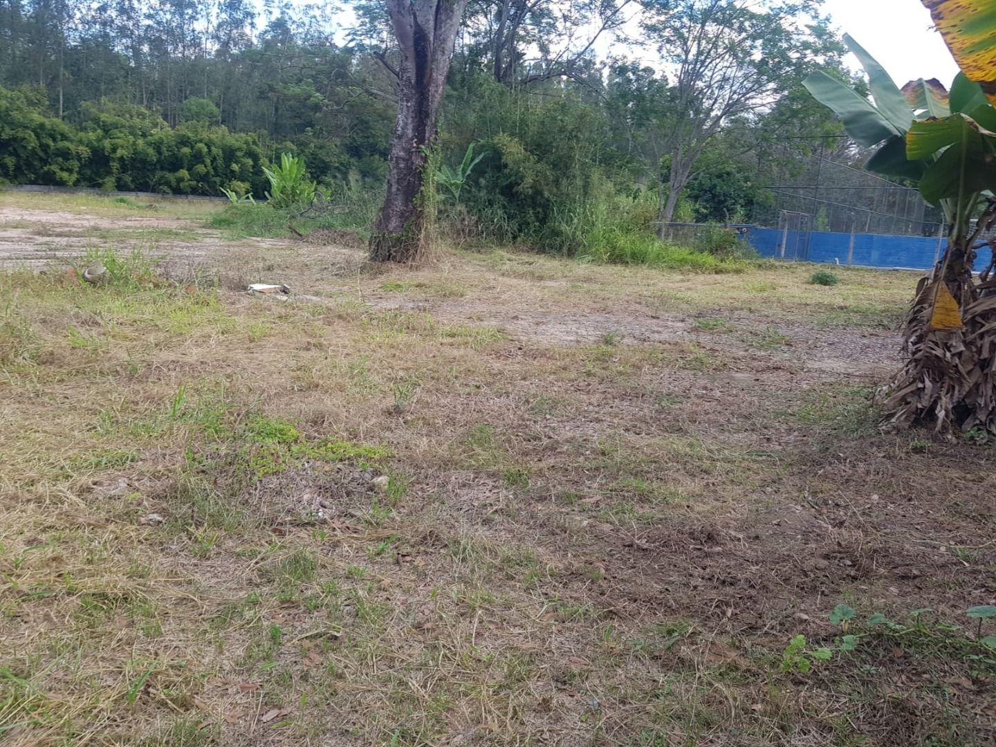 Terreno, 8000 m² - Foto 7