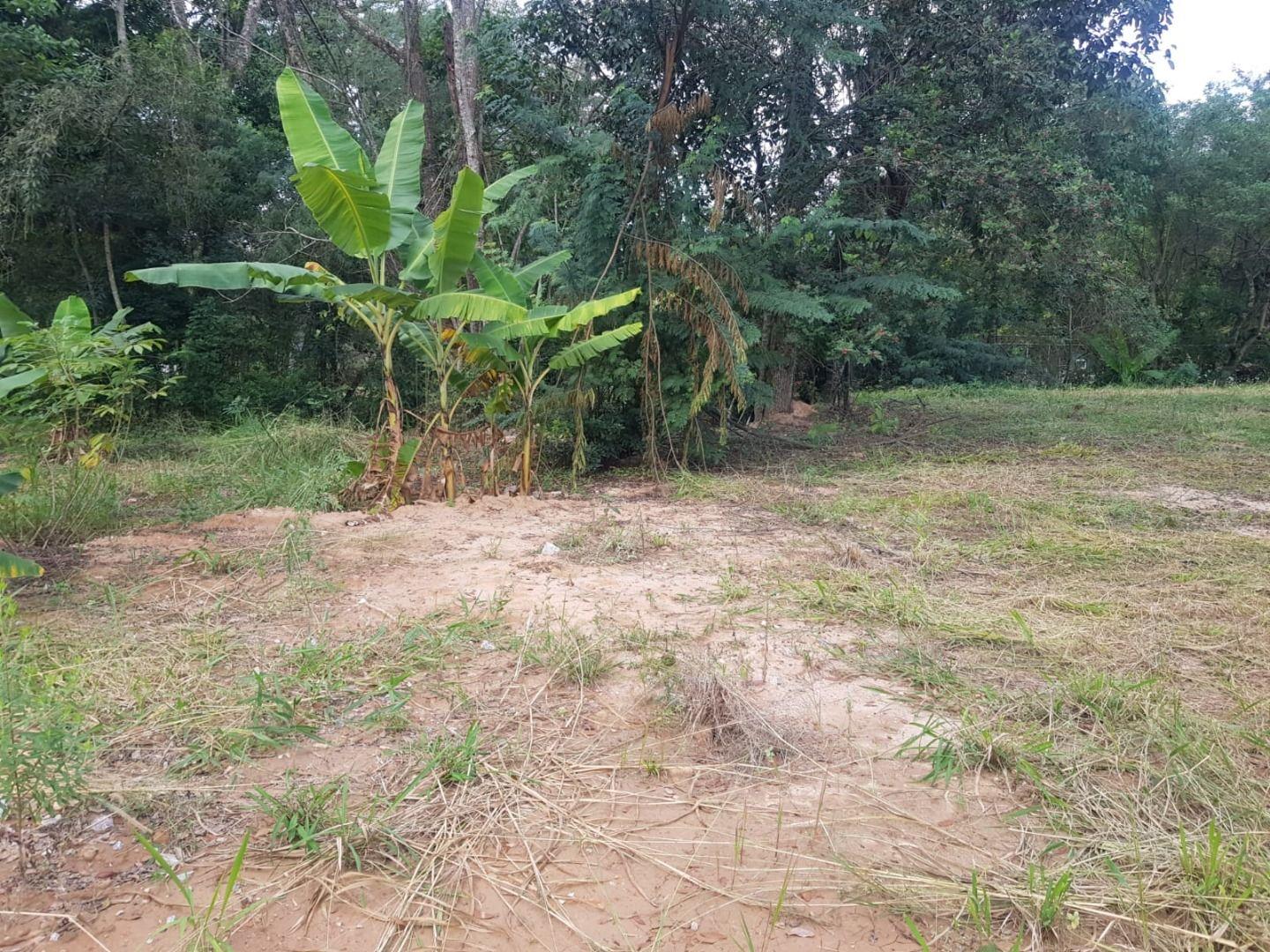 Terreno, 8000 m² - Foto 9