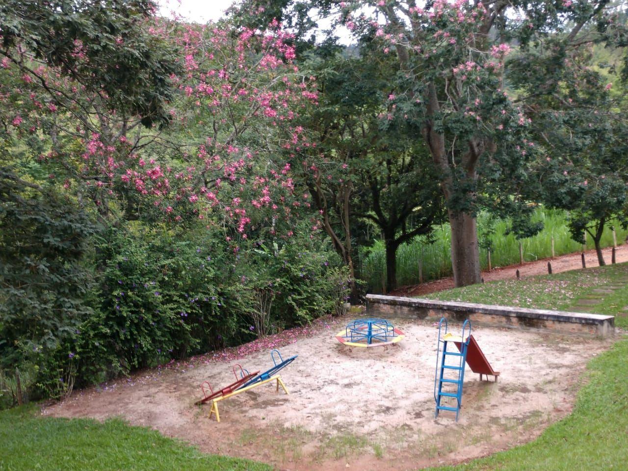 Fazenda, 128 hectares - Foto 10