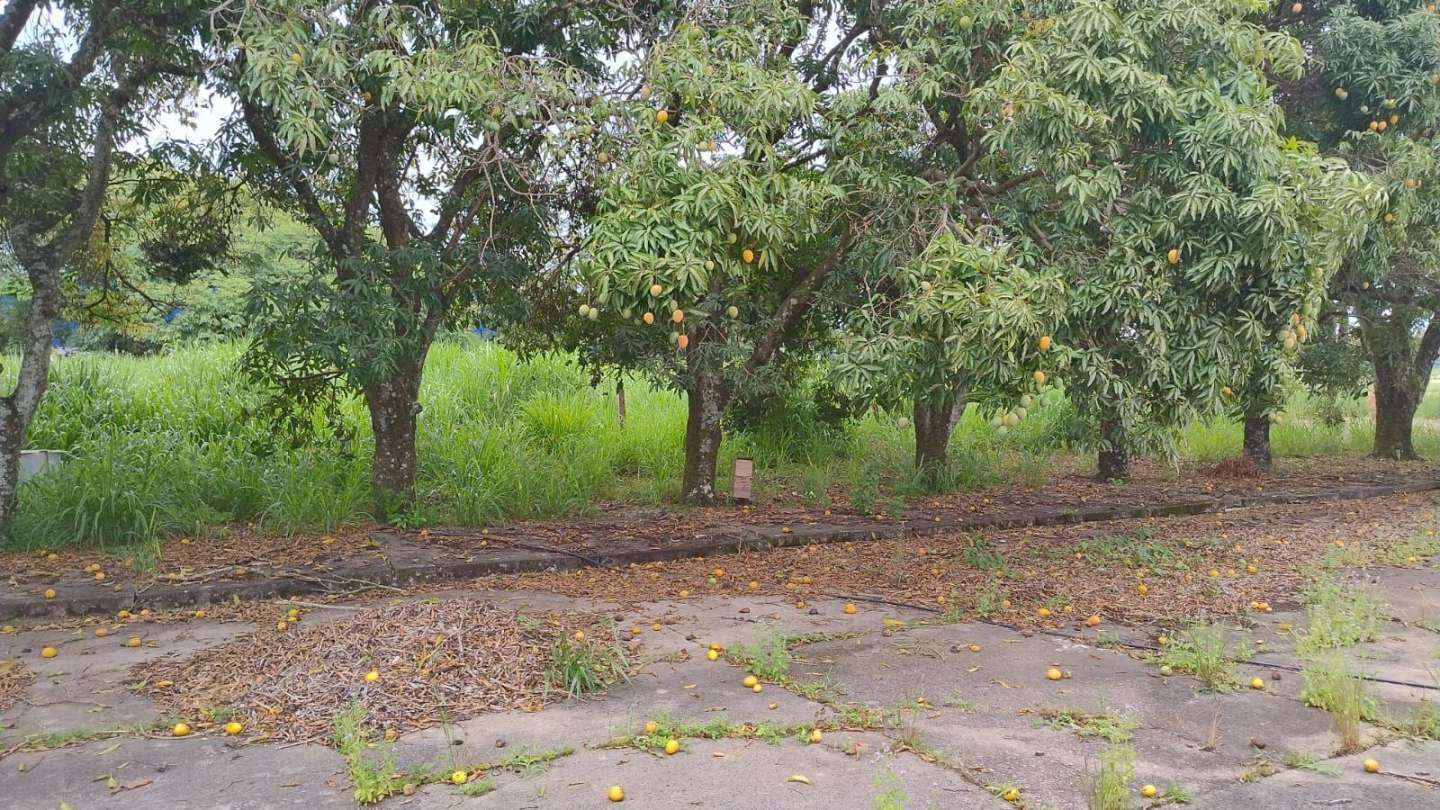 Terreno, 2 hectares - Foto 1