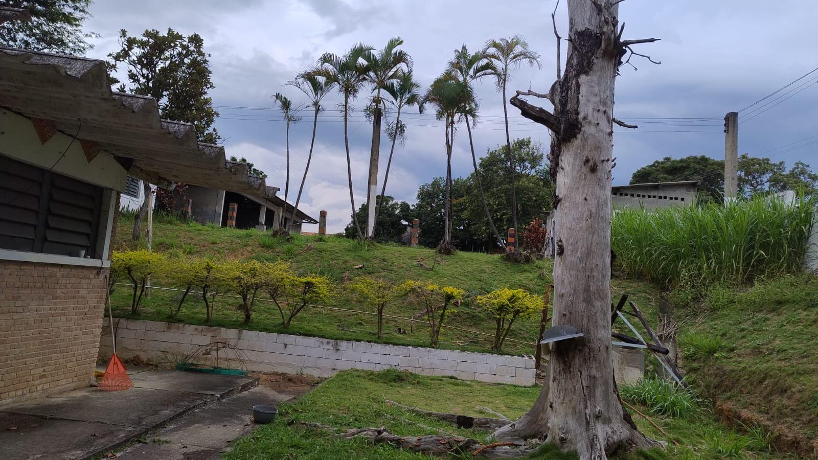 Terreno, 2 hectares - Foto 3