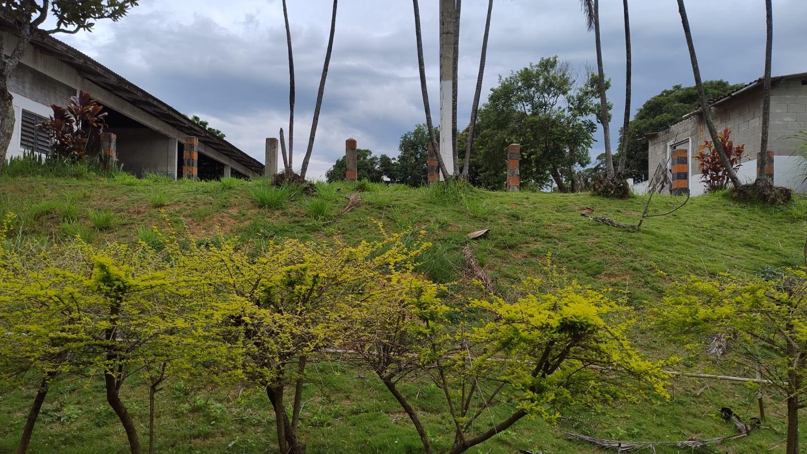 Terreno, 2 hectares - Foto 4