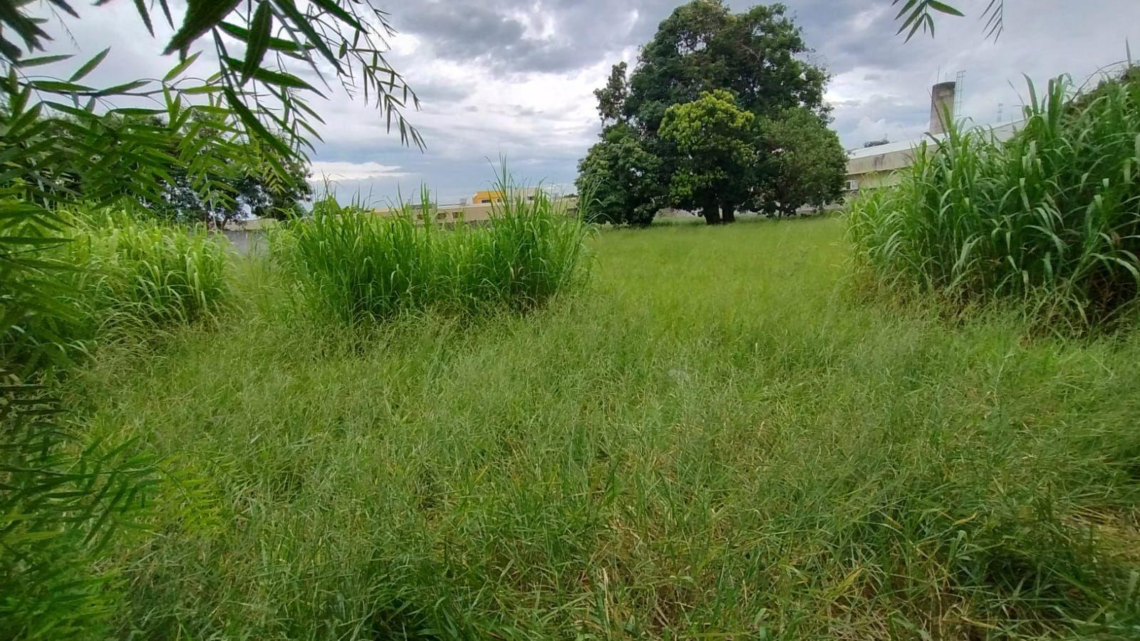 Terreno, 4600 m² - Foto 1