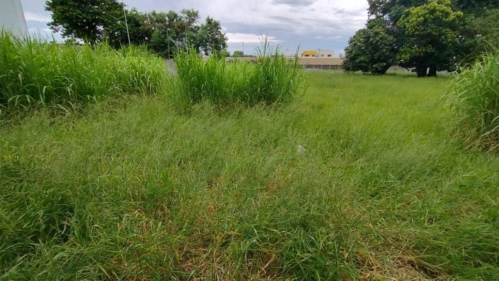 Terreno, 4600 m² - Foto 2