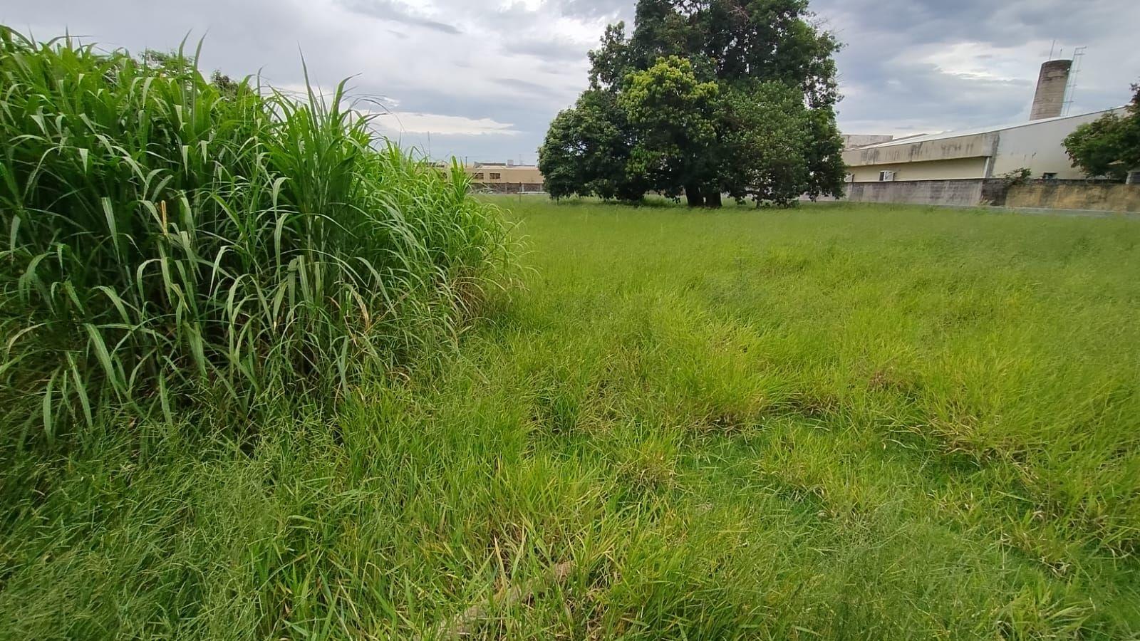 Terreno, 4600 m² - Foto 3