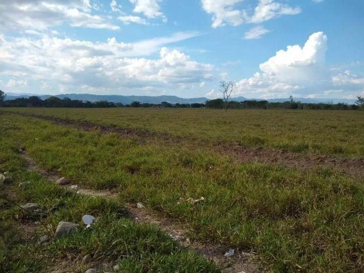 Terreno, 24 hectares - Foto 2